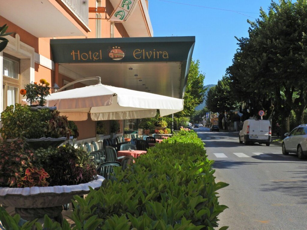 hotel-zona-centro-centrale-albergo-al-centro-di-fiuggi-terme-fiuggi-fonte-fonti-green-tree-plant-plants-flower-green-holiday-vacation-trip-3-stars-hotel-hotel-3-stelle-vacanza-verde